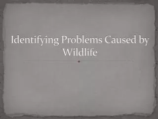 Identifying Problems Caused by Wildlife