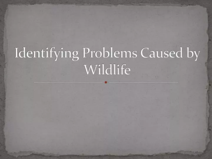 identifying problems caused by wildlife