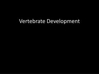 Vertebrate Development