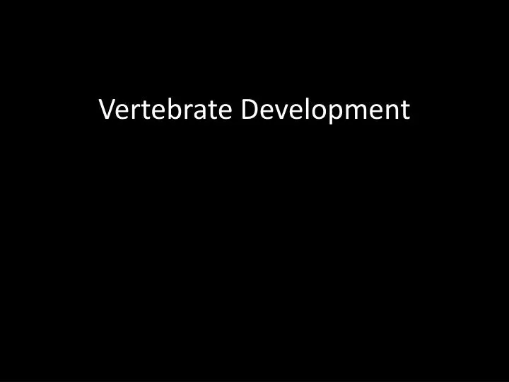 vertebrate development