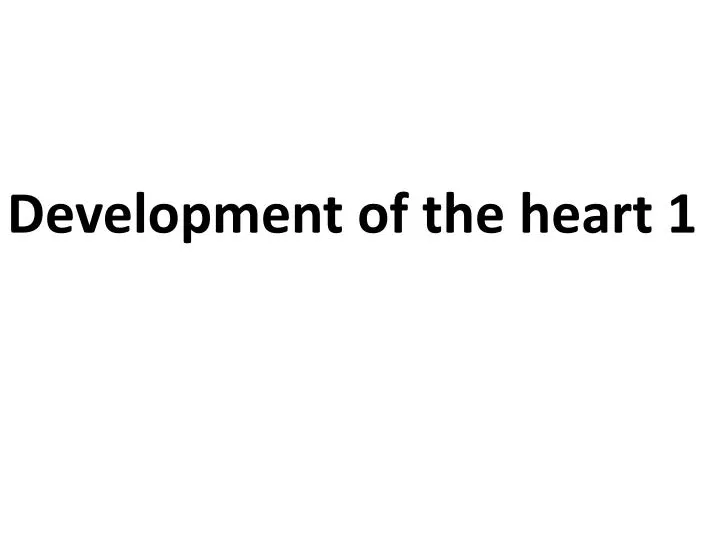 development of the heart 1