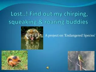 Lost..! Find out my chirping, squeaking &amp; roaring buddies