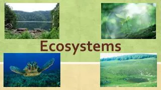 Ecosystems