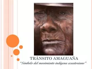 tr nsito amagua a