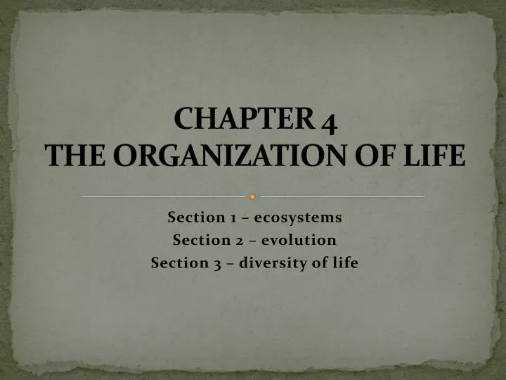 chapter 4 the organization of life