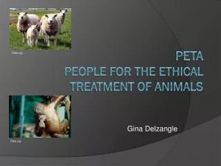 PETA People for the Ethical Treatment of Animals