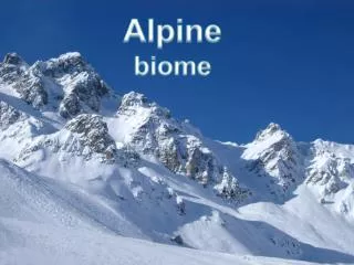 Alpine biome
