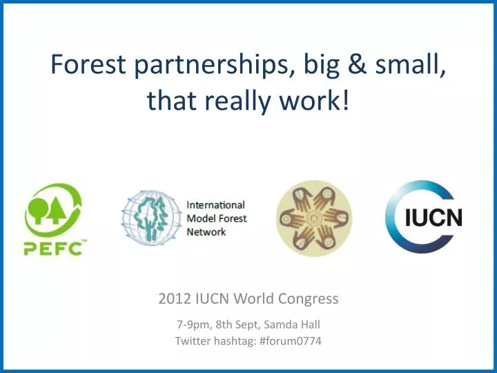 forest partnerships big small that really work