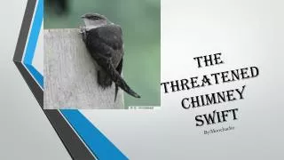 the threatened Chimney swift By:Moochacho