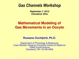 Gas Channels Workshop