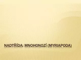 nadt da mnohonoz myriapoda