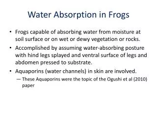 Water Absorption in Frogs