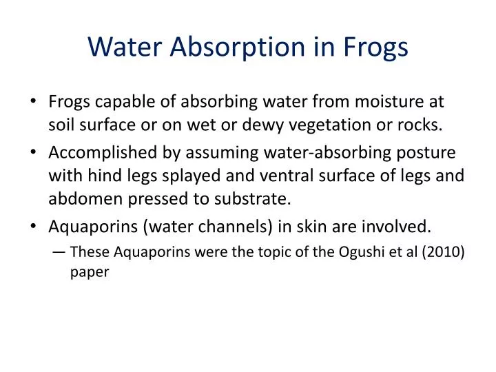 water absorption in frogs