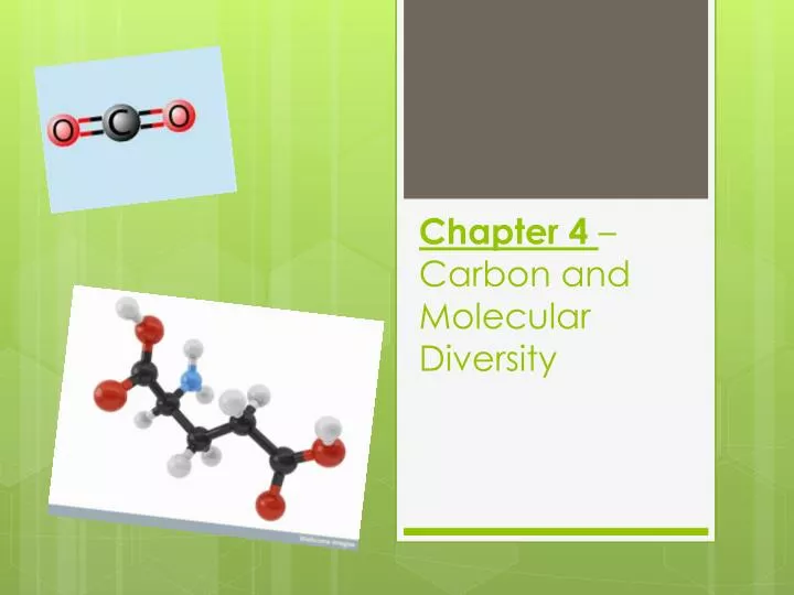 chapter 4 carbon and molecular diversity