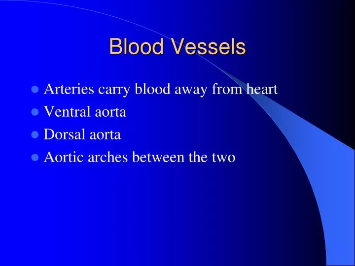 blood vessels