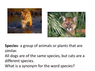 Species - a group of animals or plants that are similar.