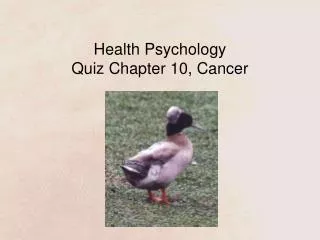 Health Psychology Quiz Chapter 10, Cancer