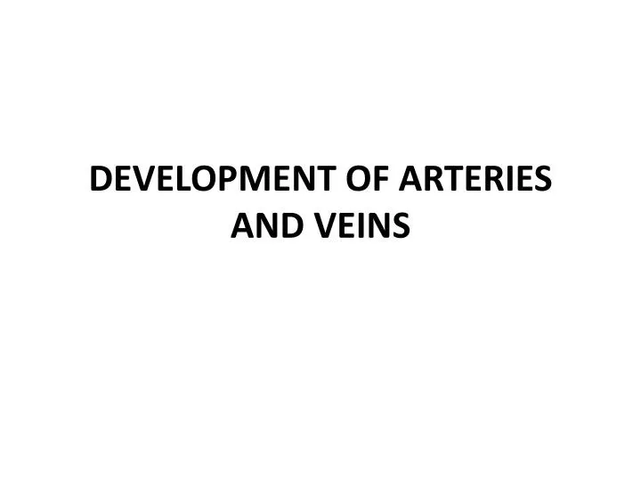development of arteries and veins