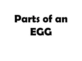 Parts of an EGG