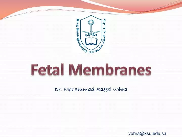 fetal membranes