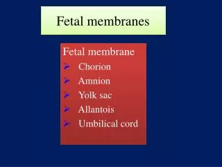 Fetal membranes