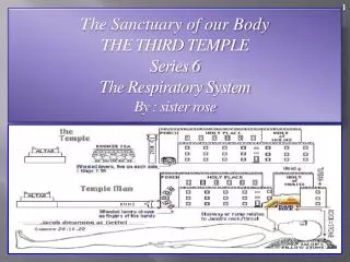 The Sanctuary of our Body THE THIRD TEMPLE Series 6 The Respiratory System By : sister rose