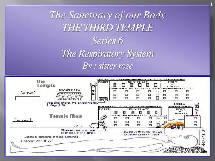 the sanctuary of our body the third temple series 6 the respiratory system by sister rose
