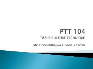 PTT 104