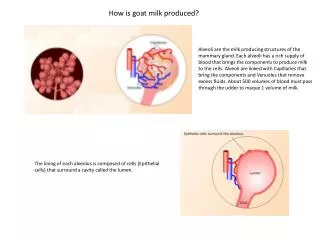 How is goat milk produced ?