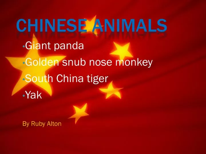 giant panda golden snub nose monkey south china tiger yak by ruby alton