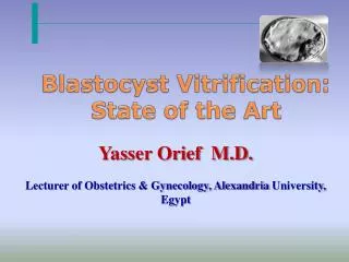 Yasser Orief M.D. Lecturer of Obstetrics &amp; Gynecology, Alexandria University, Egypt