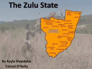 The Zulu State