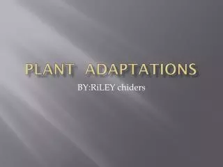 Plant Adaptations