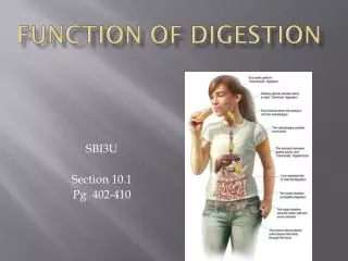 FUNCTION OF DIGESTION