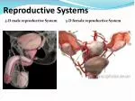 Reproductive Systems - slide 1