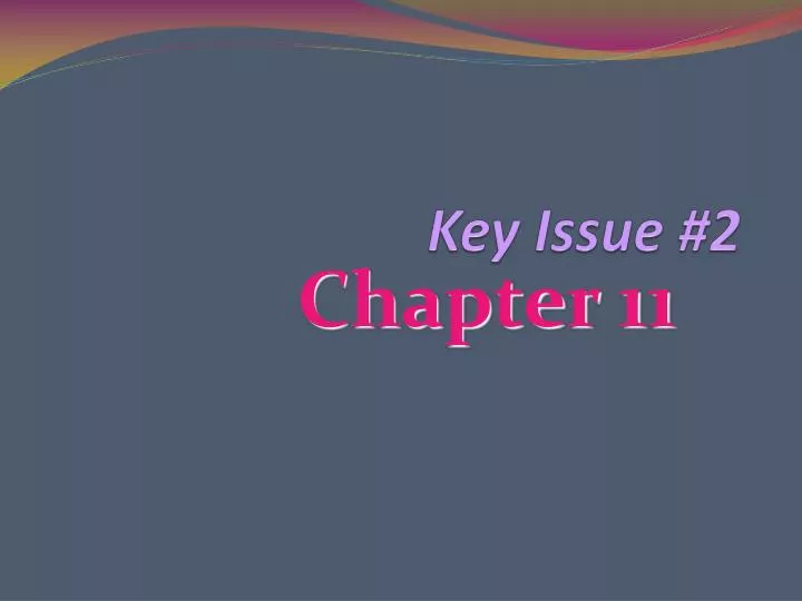 key issue 2
