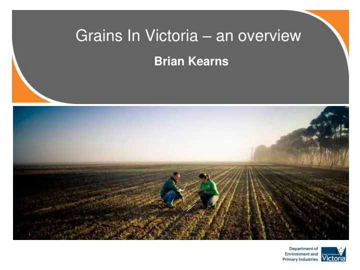 grains in victoria an overview
