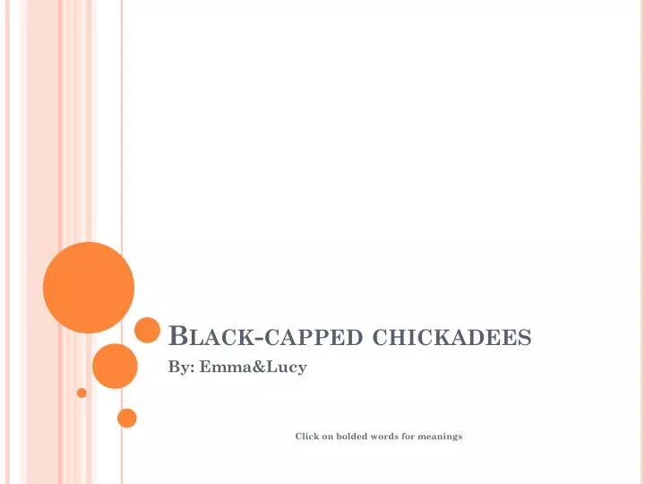 black capped chickadees