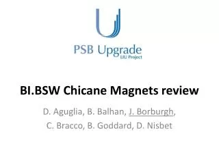 BI.BSW Chicane Magnets review