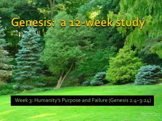 Genesis: a 12-week study