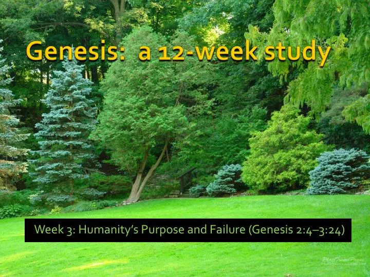 week 3 humanity s purpose and failure genesis 2 4 3 24