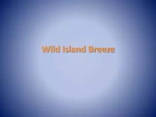 Wild Island Breeze