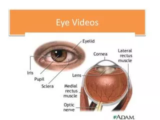 Eye Videos