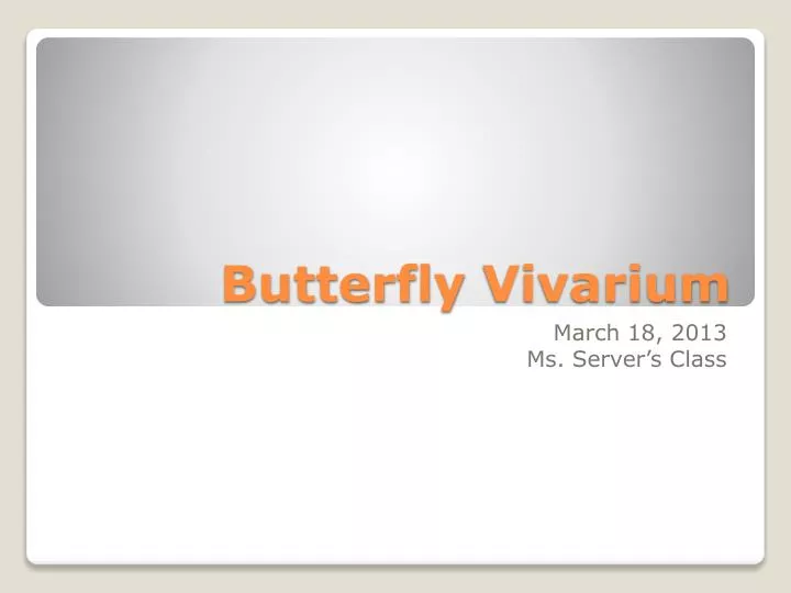 butterfly vivarium