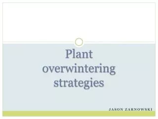 Plant overwintering strategies