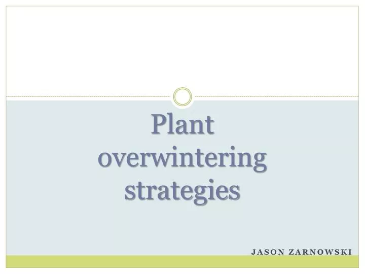 plant overwintering strategies