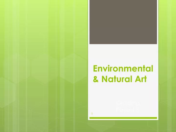 environmental natural art