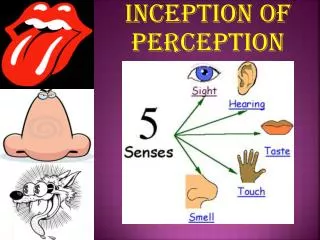 Inception of perception