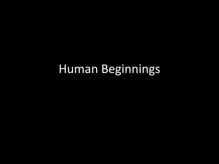 human beginnings
