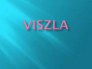 viszla